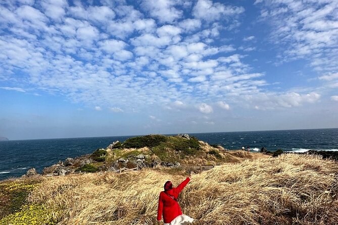 Jeju Island English Private & Flexible Tour any number anywhere - A private Jeju day built around your priorities
