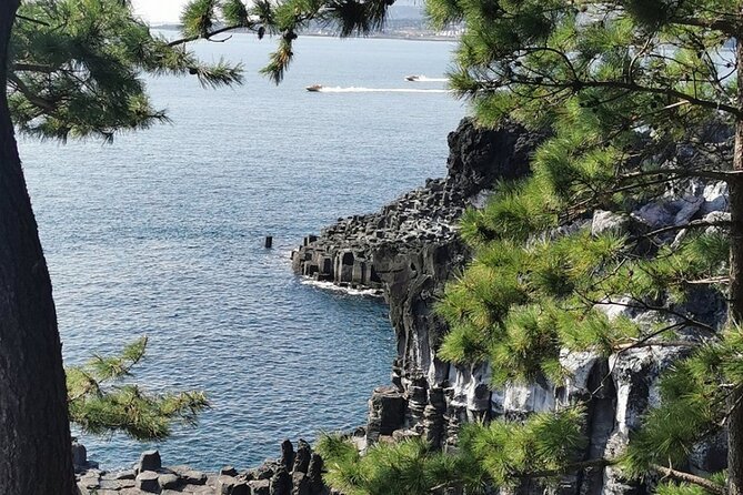 Jeju Island English Private & Flexible Tour any number anywhere - Booking and cancellation details to keep in mind