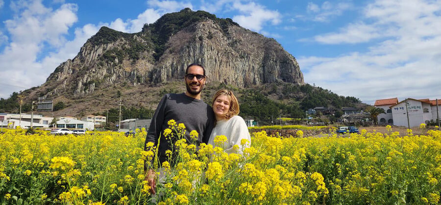 Jeju Island: Full-Day Customizable Private Guided Car Tour - Price, group size, and what you still pay