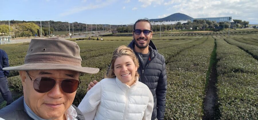 Jeju Island: Full-Day Customizable Private Guided Car Tour - Local seafood and the value of a guide at lunch