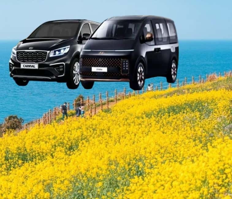 Jeju Island: Private Car Charter Tour - Why a private car makes sense on Jeju