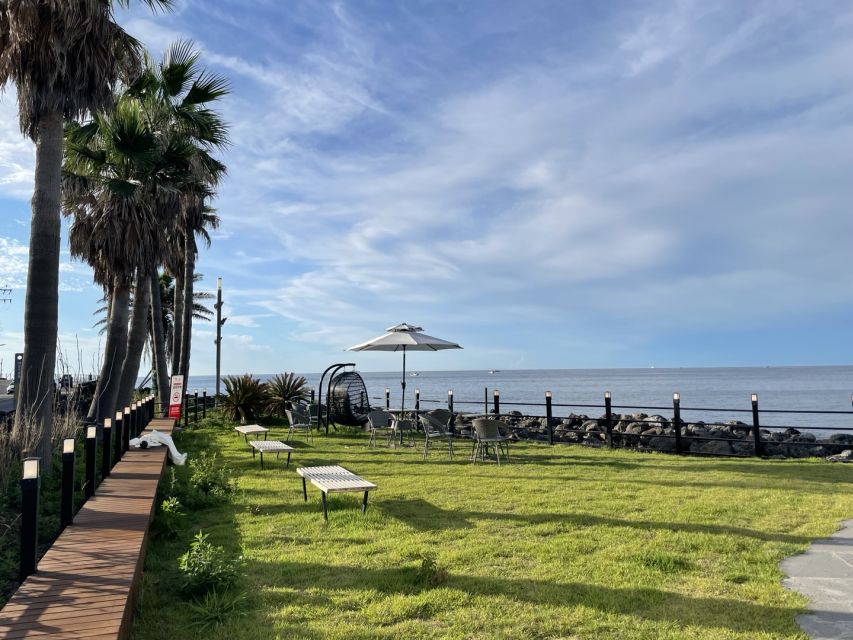 Jeju Island: Private Car Charter Tour - What the guides add beyond transportation