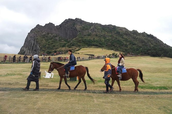 Jeju Island Private Taxi Tour : 2 Full days - Timing, distance, and extra charges