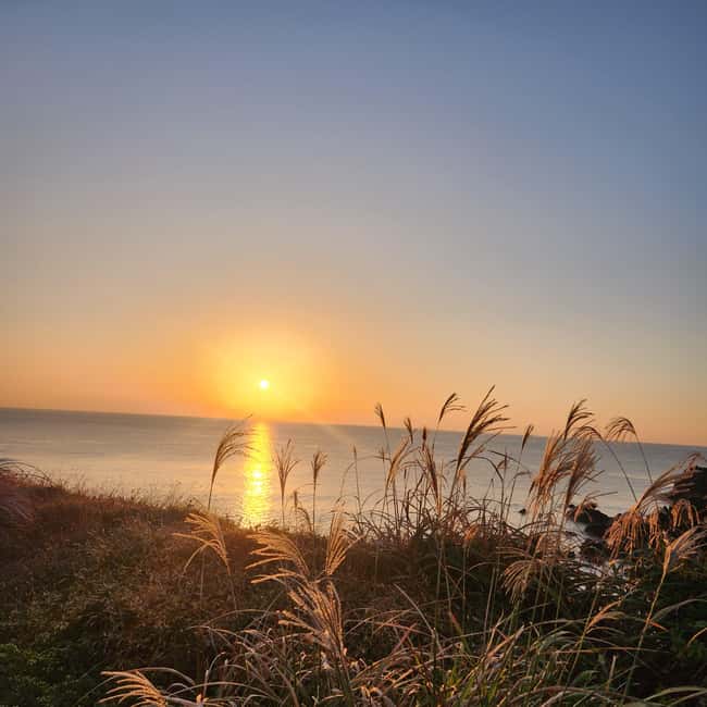 Jeju Island: Sunrise Guided Tour with Hotel Pickup - Returning before the island gets busy