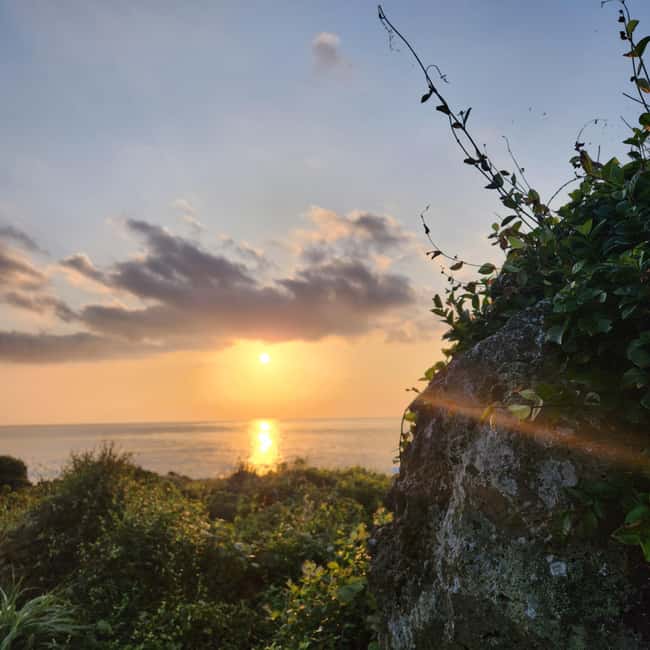 Jeju Island: Sunrise Guided Tour with Hotel Pickup - Who will get the most from this tour?