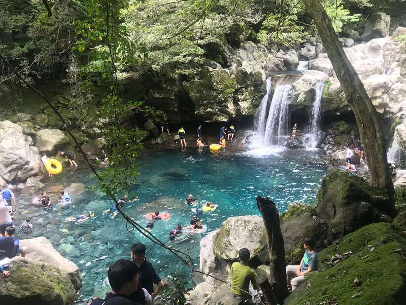 Jeju Island: Van Tour with a Guide Who Most Loves Jeju - Jeongbang Waterfall starts the day