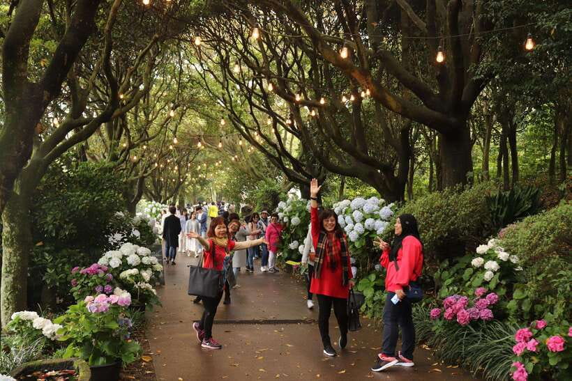 Jeju Island: Van Tour with a Guide Who Most Loves Jeju - Who will get the most from this tour