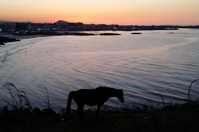 Jeju island: Van tour with a guide who the most loves JEJU - Manjanggul Cave and the current replacement plan