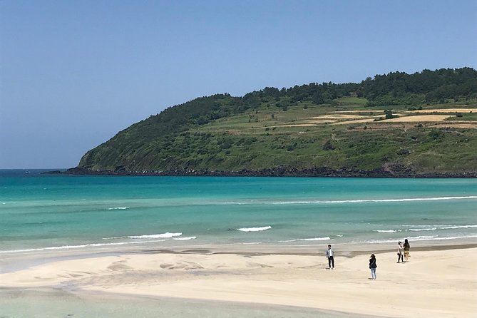 Jeju island: Van tour with a guide who the most loves JEJU - Food, coffee, and local suggestions