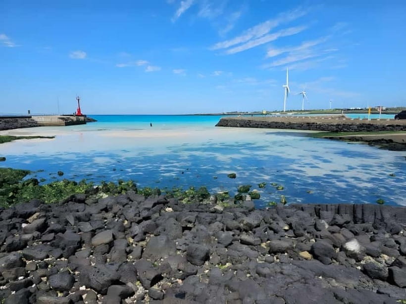 Jeju: K-Drama Spot When Life Gives You Tangerines Hotel Pick - Ora-dong’s 40-minute flower stop