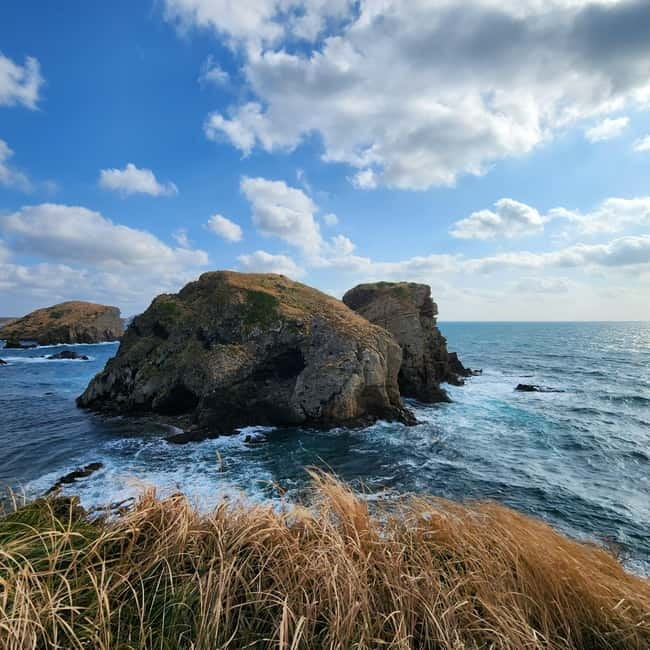 Jeju: Popular Sightseeing Private Car Charter Tour - Pickup rules and the cruise passenger warning