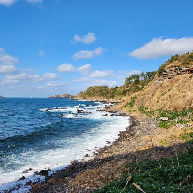 Jeju: Popular Sightseeing Private Car Charter Tour - Two family routes with less pressure