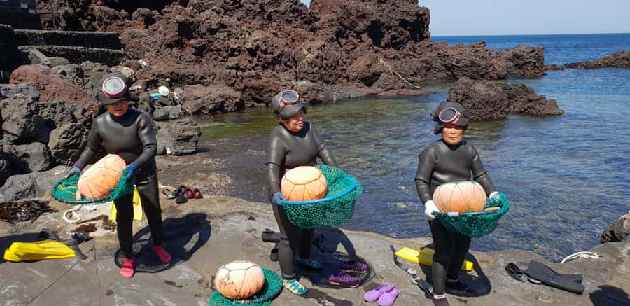 Jeju Premium Small Group UNESCO Day Tour - East - The Haenyeo Museum and Jeju’s women of the sea