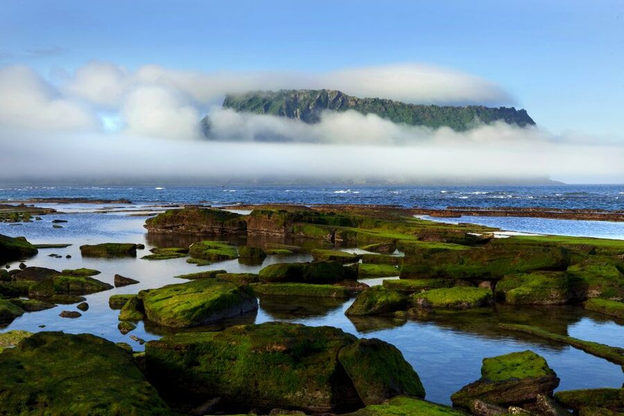 Jeju Premium Small Group UNESCO Day Tour - East - Lunch: good local food, extra cost