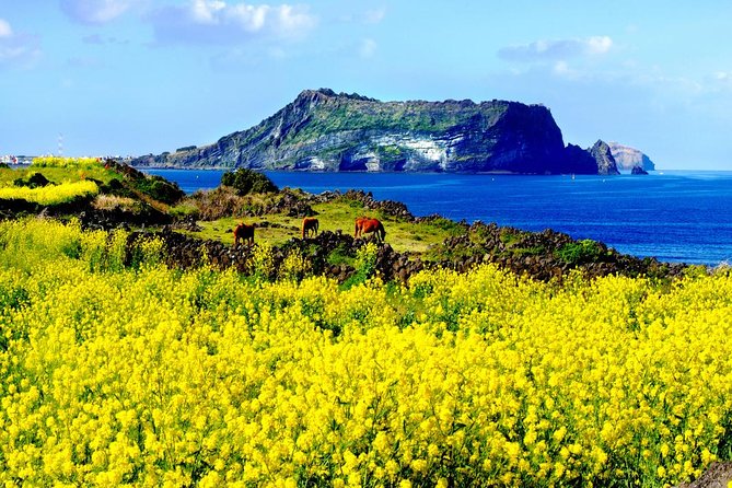 Jeju Premium Small Group UNESCO Day Tour - East Course - The Haenyeo Museum explains Jeju through its women divers