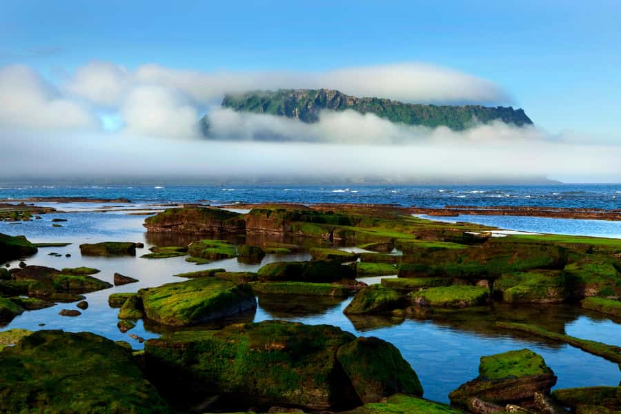 Jeju Premium Small Group UNESCO Day Tour - East - Woljeongri Beach and a gentle morning start