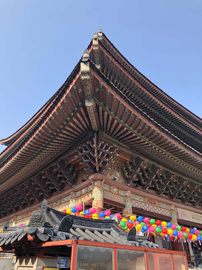 Jeju Premium Small Group UNESCO Day Tour - South - Timing, transport, and practical limits
