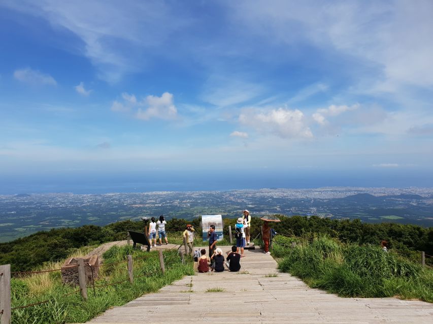 Jeju Premium Small Group UNESCO Day Tour - South - Ending among Jeju’s green tea fields