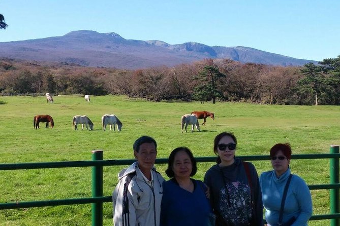 Jeju Private Full day tour of UNESCO Day Tour - Seongsan Ilchulbong, the day’s main attraction