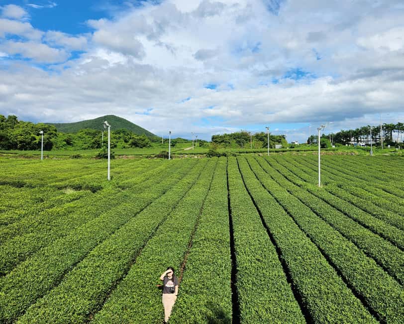 Jeju Private Taxi Tour with a Licenced English Guide-Driver - Key points at a glance