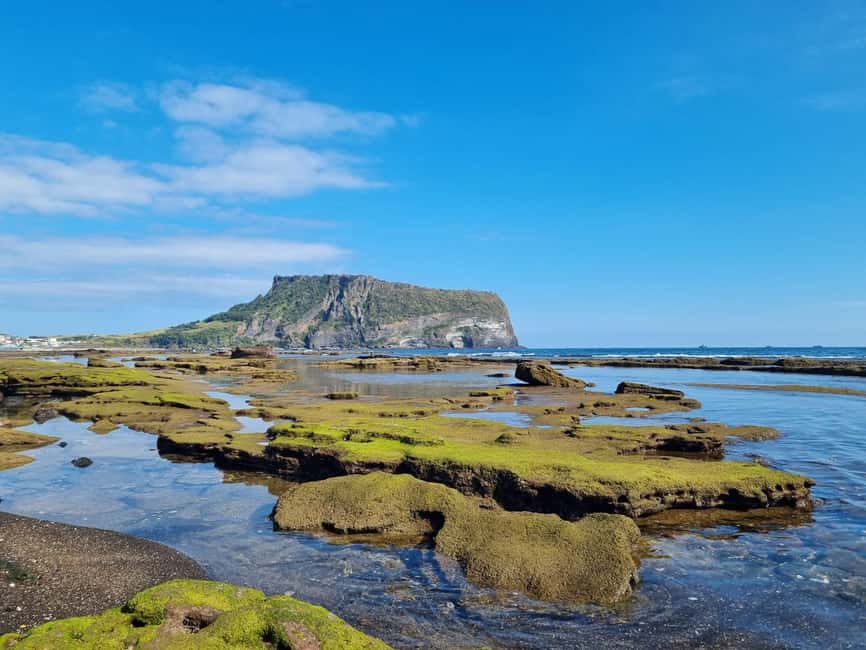Jeju Private Taxi Tour with a Licenced English Guide-Driver - FAQ