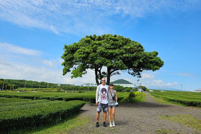 Jeju Private Tour Package-South of Jeju(Mt.Hallasan & Waterfalls) - Jusangjeolli Cliff reveals Jeju’s stone geometry