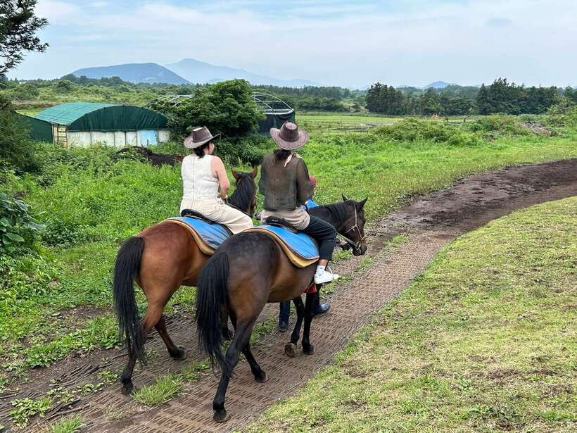 Jeju: Private Tour with an English Guide and a Vehicle - What the guide adds to the day