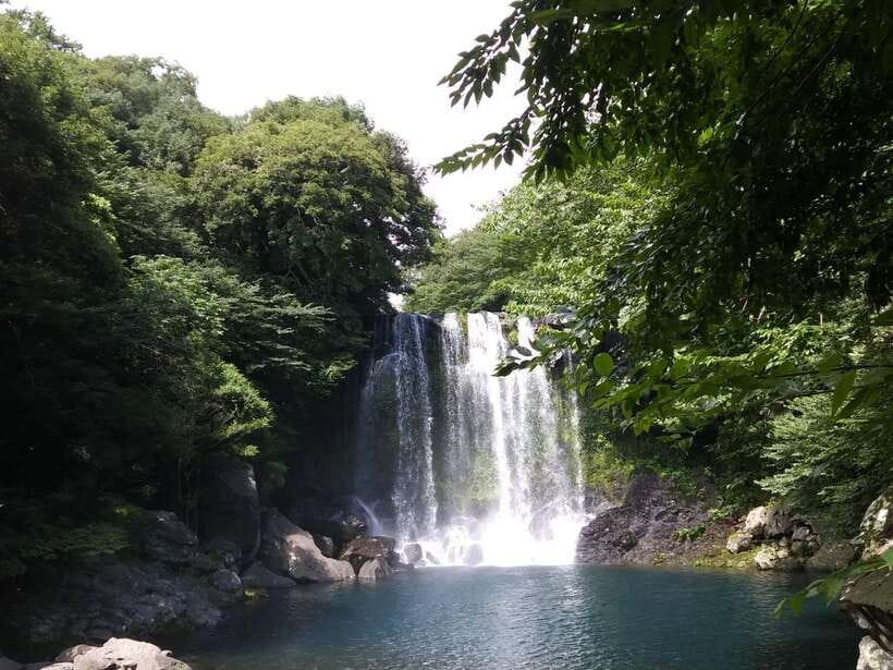 Jeju: Private Tour with an English Guide and a Vehicle - Who should book this experience