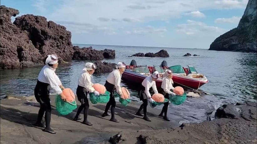 Jeju: Private VIP Day Tour with Tickets - Who will get the most from this tour