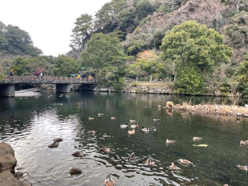 Jeju: Seogwipo City Walking Tours with Sunset - Walking demands, timing, and what to bring