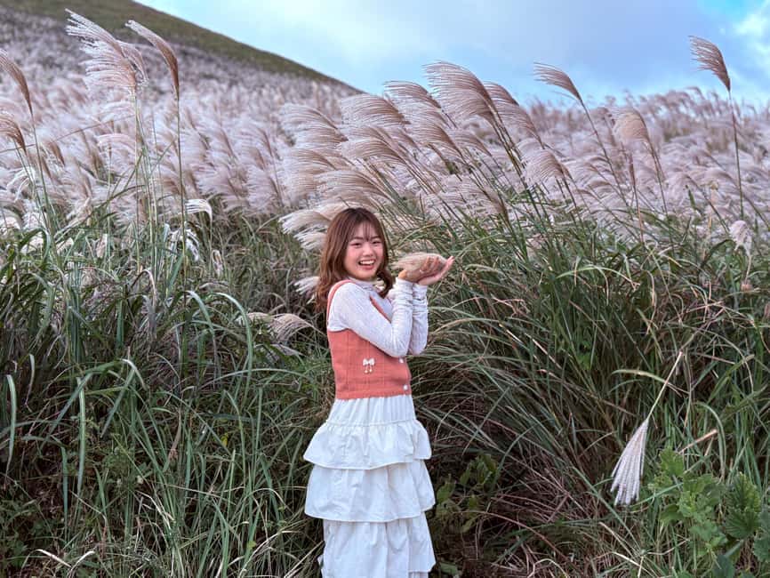 Jeju: Small Group Tour w/Pink Muhly & Tangerine Picking - Key Things to Know Before You Book