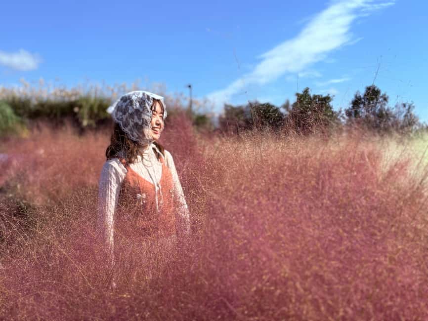 Jeju: Small Group Tour w/Pink Muhly & Tangerine Picking - Mt. Halla’s 1100 Altitude Wetland