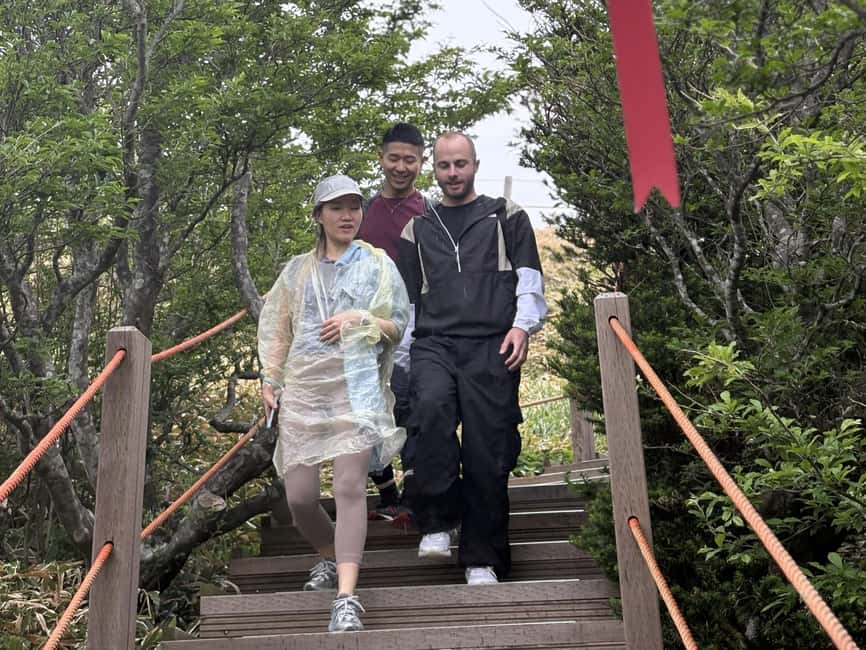 Jeju South: Small Group Healing Tour w/Mt.Halla & Olle Trail - Jusangjeolli turns geology into a great photo stop