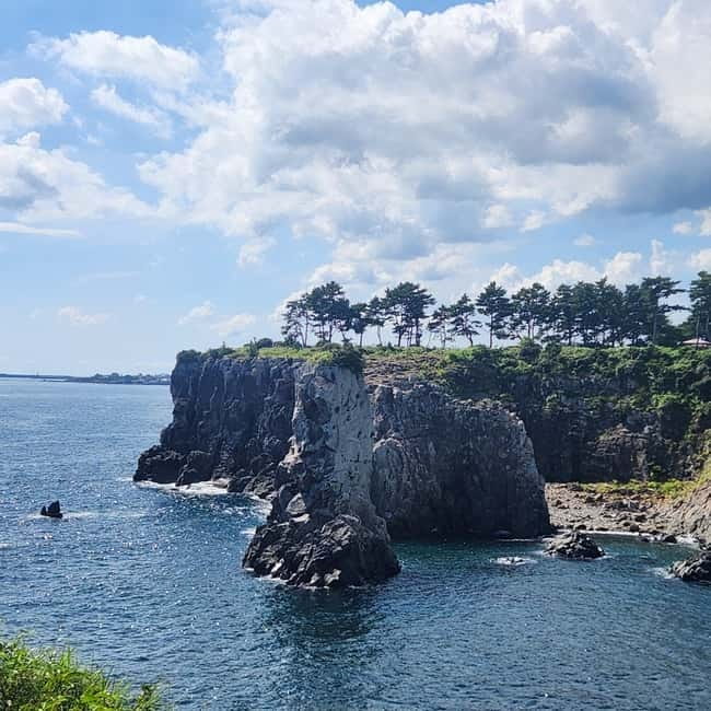 Jeju: Southern Top UNESCO Spots Bus Tour - The ride home, Dongmun Market, and optional evening plans