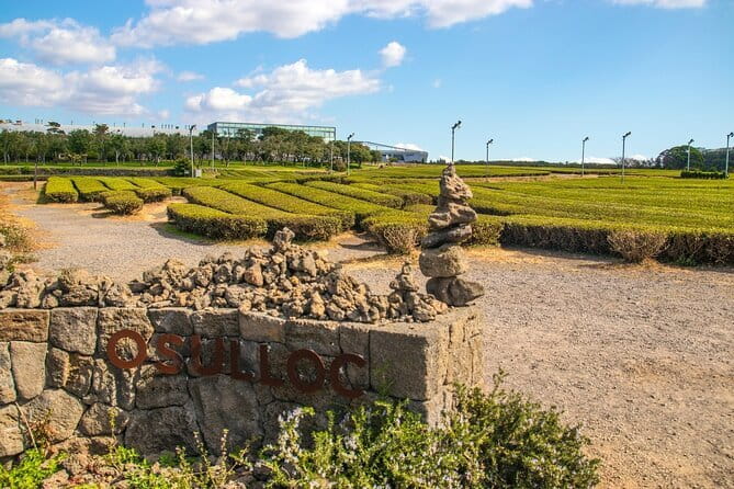 Jeju Southern UNESCO Full Day Tour with Mt.Halla - What this Jeju day tour does well