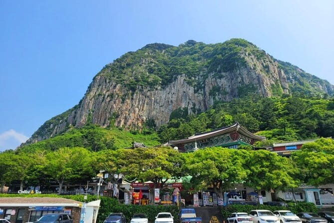 Jeju Southern UNESCO Full Day Tour with Mt.Halla - O’sulloc Tea Museum and the green tea fields