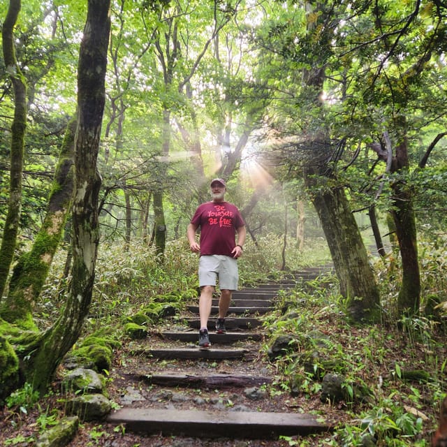 Jeju: Southern UNESCO Geopark Day Tour - Cheonjeyeon Falls and the Seonimgyo Bridge