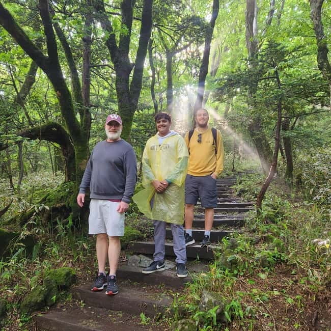 Jeju: Southern UNESCO Geopark Day Tour - O’sulloc Tea Museum and green fields