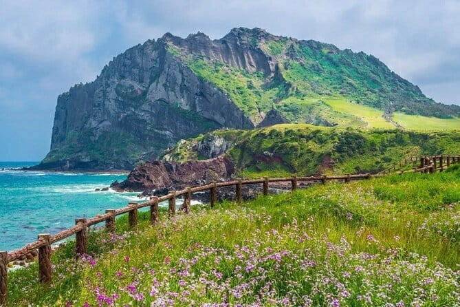 Jeju Unesco Eest course Package Private Van Guided Tour - What the $470 group price really covers