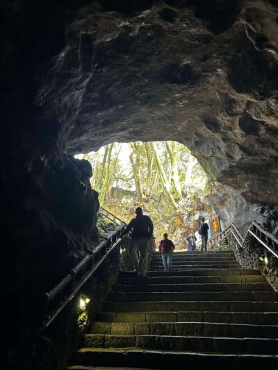 Jeju UNESCO Natural Heritage Private Tour by Certified Guide
