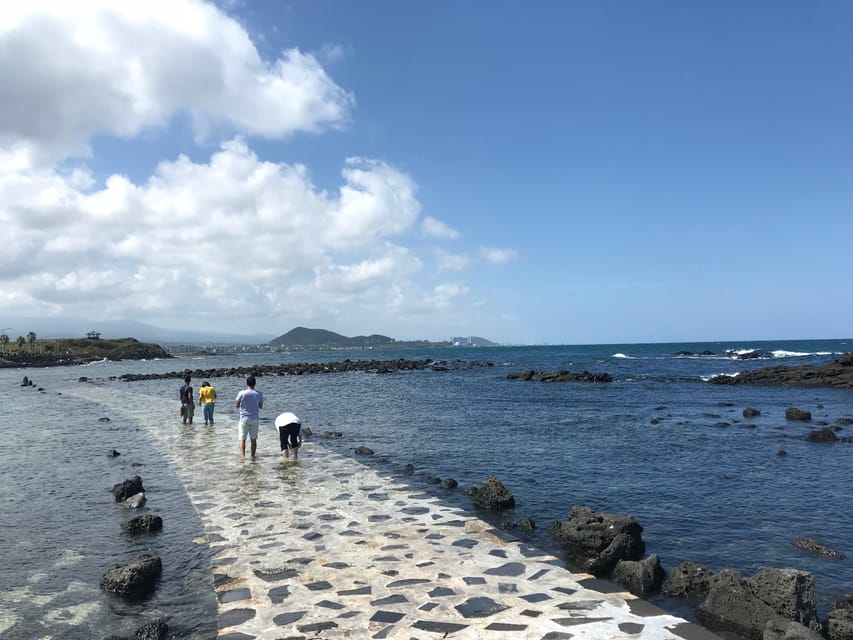 Jeju: West of Jeju Island Bus Tour from Seogwipo City - Who will enjoy this day most