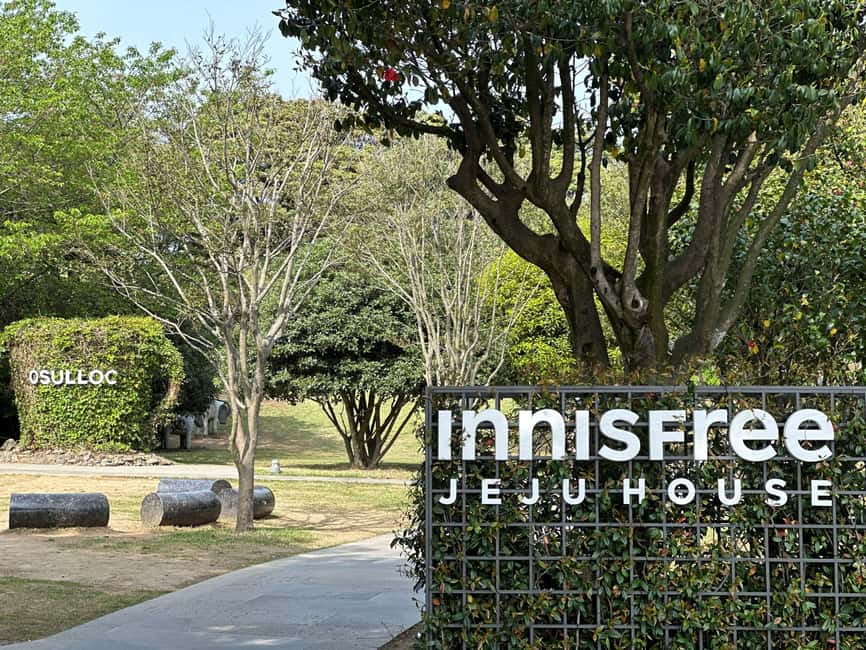Jeju West: Small Group Healing Tour w/Caves & Dolphins - What June adds to the day