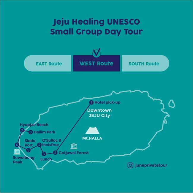 Jeju West: Small Group Healing Tour w/Caves & Dolphins - A local lunch instead of a tour bus buffet