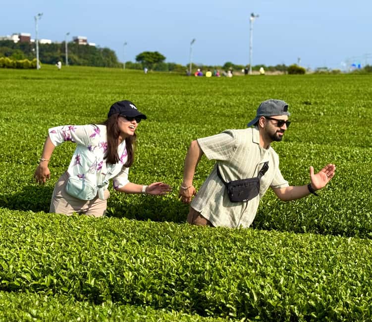 Jeju West: Small Group Healing Tour w/Caves & Dolphins - Tea, skincare, and green fields at O’Sulloc