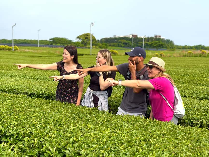 Jeju West: Small Group Healing Tour w/Caves & Dolphins - A short pause at Hyeopjae Beach