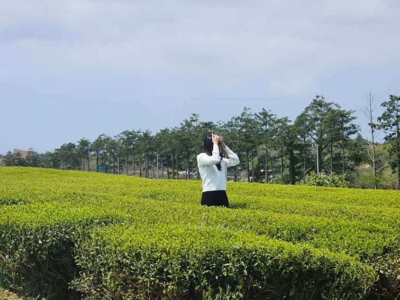 Jeju: West & South Full-Day Authentic Tour - Key points at a glance