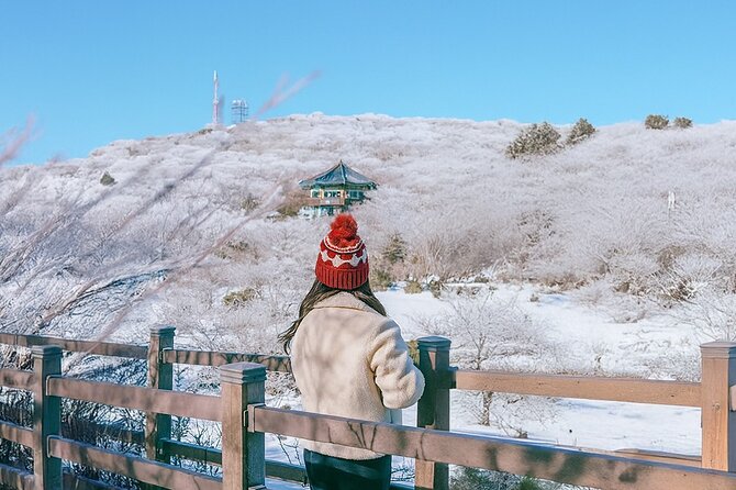 Jeju WEST&SOUTH One Day Tour with MT.halla & UNESCO - Why this route works for a first Jeju visit