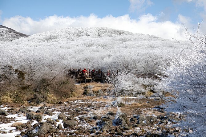 Jeju WEST&SOUTH One Day Tour with MT.halla & UNESCO - Hueree Natural Life Park through the seasons