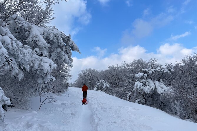Jeju WEST&SOUTH One Day Tour with MT.halla & UNESCO - Jeongbang Waterfall reaches the sea