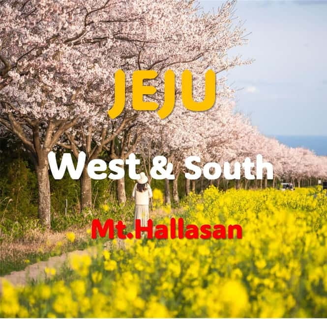 Jeju: Western and Southern Sightseeing Day Tour - O’Sulloc and Jeju tea culture